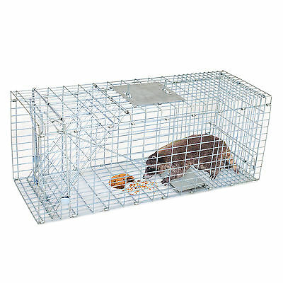 Humane Small Live Animal Control Steel Trap Cage 32"x12.5"x12" Raccoon Skunk Cat